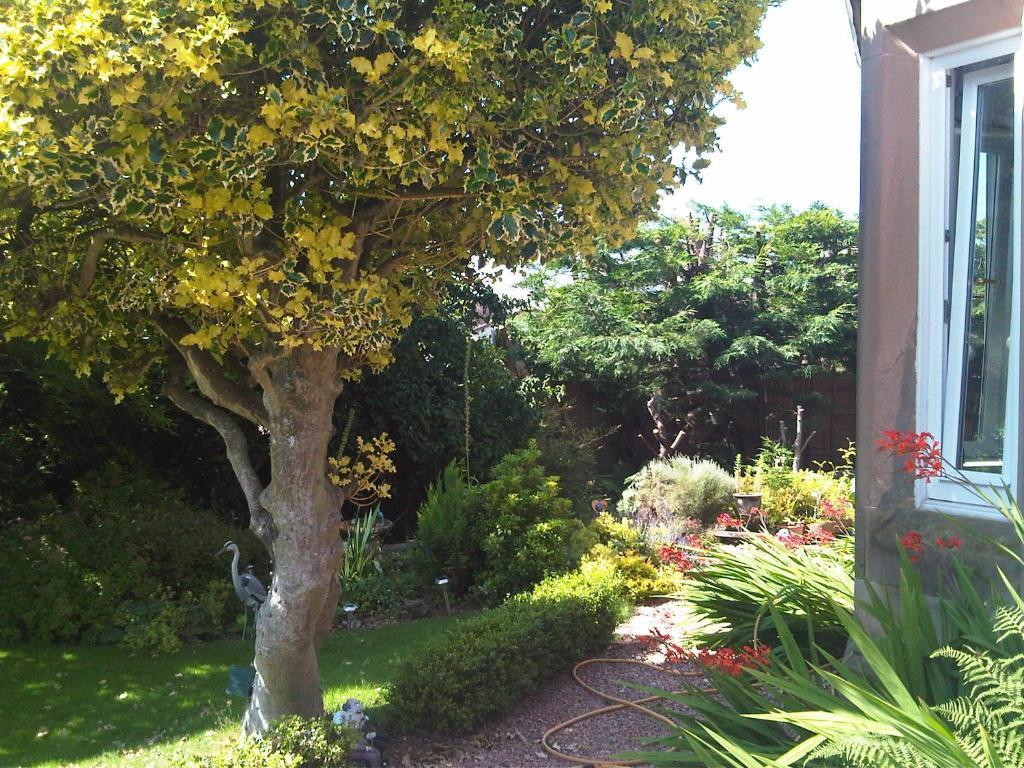 James Cottage Guest House 크리프 외부 사진